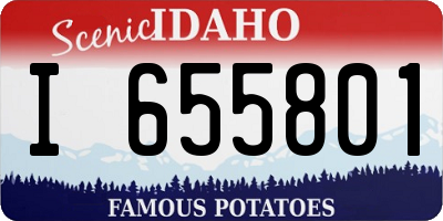 ID license plate I655801
