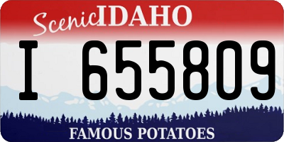 ID license plate I655809