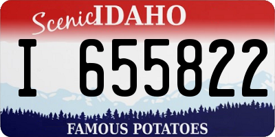 ID license plate I655822