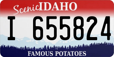 ID license plate I655824