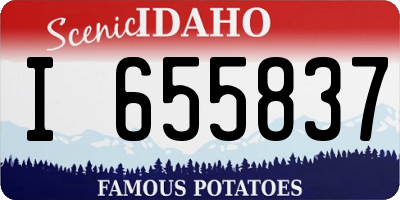 ID license plate I655837