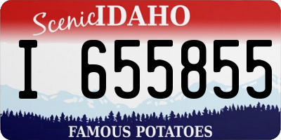 ID license plate I655855
