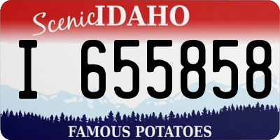 ID license plate I655858