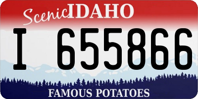 ID license plate I655866