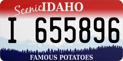 ID license plate I655896