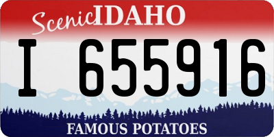 ID license plate I655916