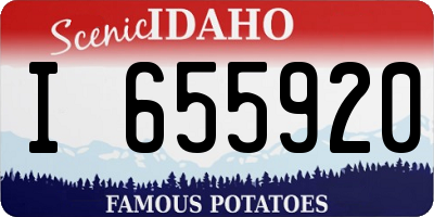 ID license plate I655920