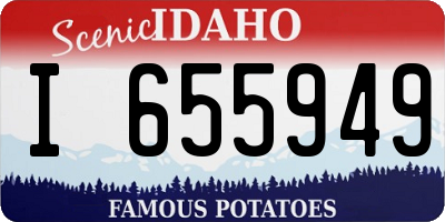 ID license plate I655949