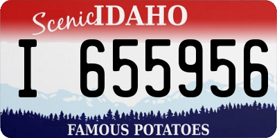 ID license plate I655956