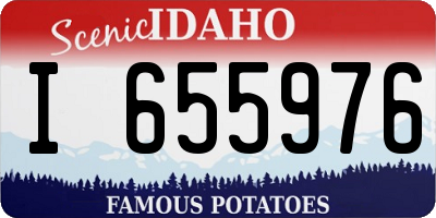 ID license plate I655976