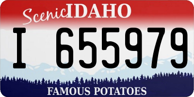 ID license plate I655979