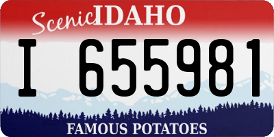 ID license plate I655981