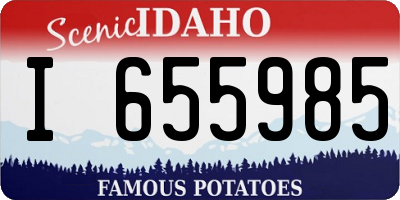 ID license plate I655985