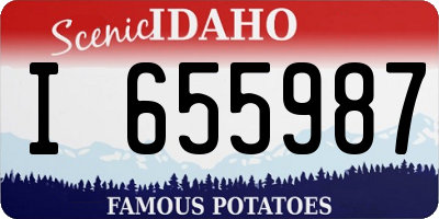 ID license plate I655987