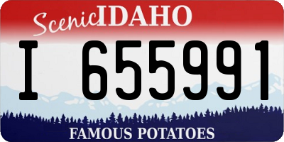 ID license plate I655991