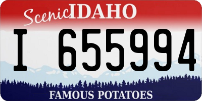 ID license plate I655994