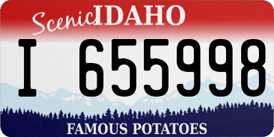 ID license plate I655998