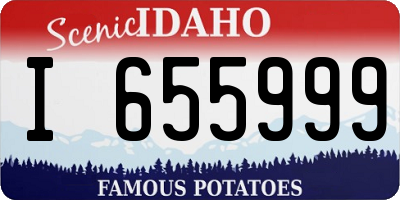 ID license plate I655999