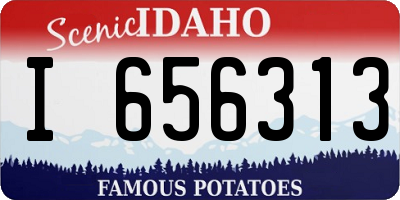 ID license plate I656313