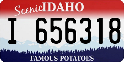 ID license plate I656318
