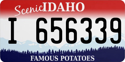 ID license plate I656339