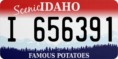 ID license plate I656391