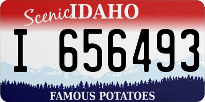 ID license plate I656493