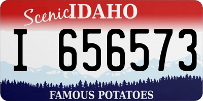 ID license plate I656573