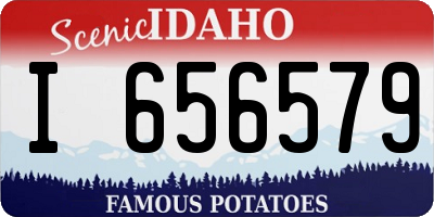 ID license plate I656579