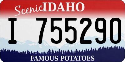 ID license plate I755290