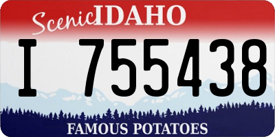 ID license plate I755438