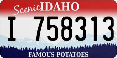 ID license plate I758313