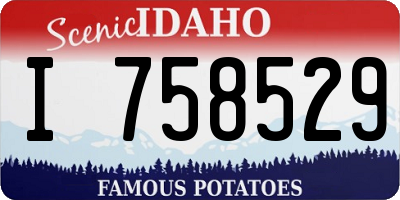 ID license plate I758529