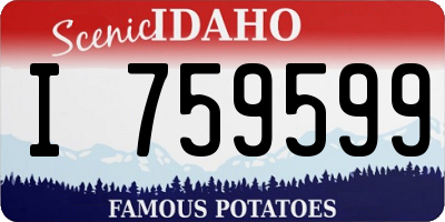 ID license plate I759599