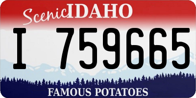 ID license plate I759665