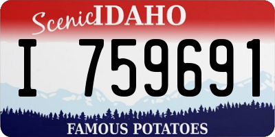 ID license plate I759691