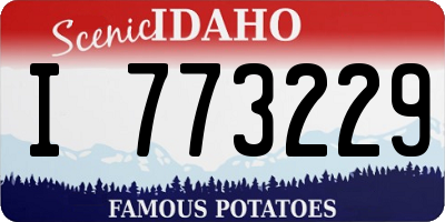 ID license plate I773229
