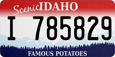 ID license plate I785829