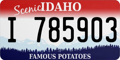 ID license plate I785903