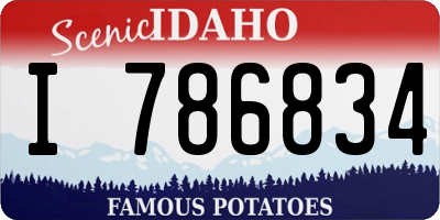 ID license plate I786834
