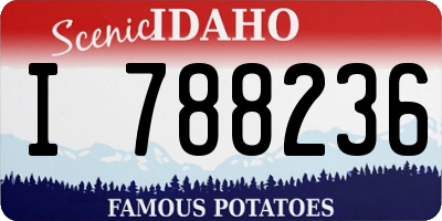 ID license plate I788236