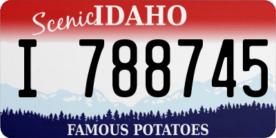ID license plate I788745