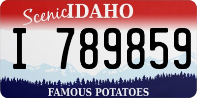 ID license plate I789859
