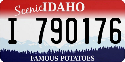 ID license plate I790176