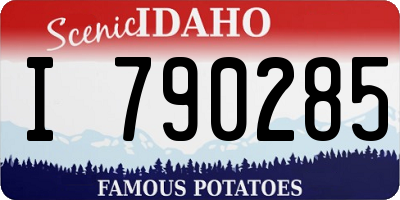 ID license plate I790285