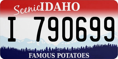 ID license plate I790699