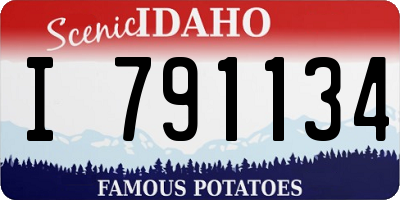 ID license plate I791134