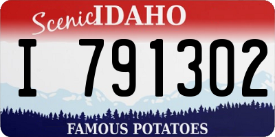 ID license plate I791302