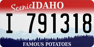 ID license plate I791318