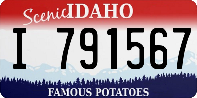 ID license plate I791567